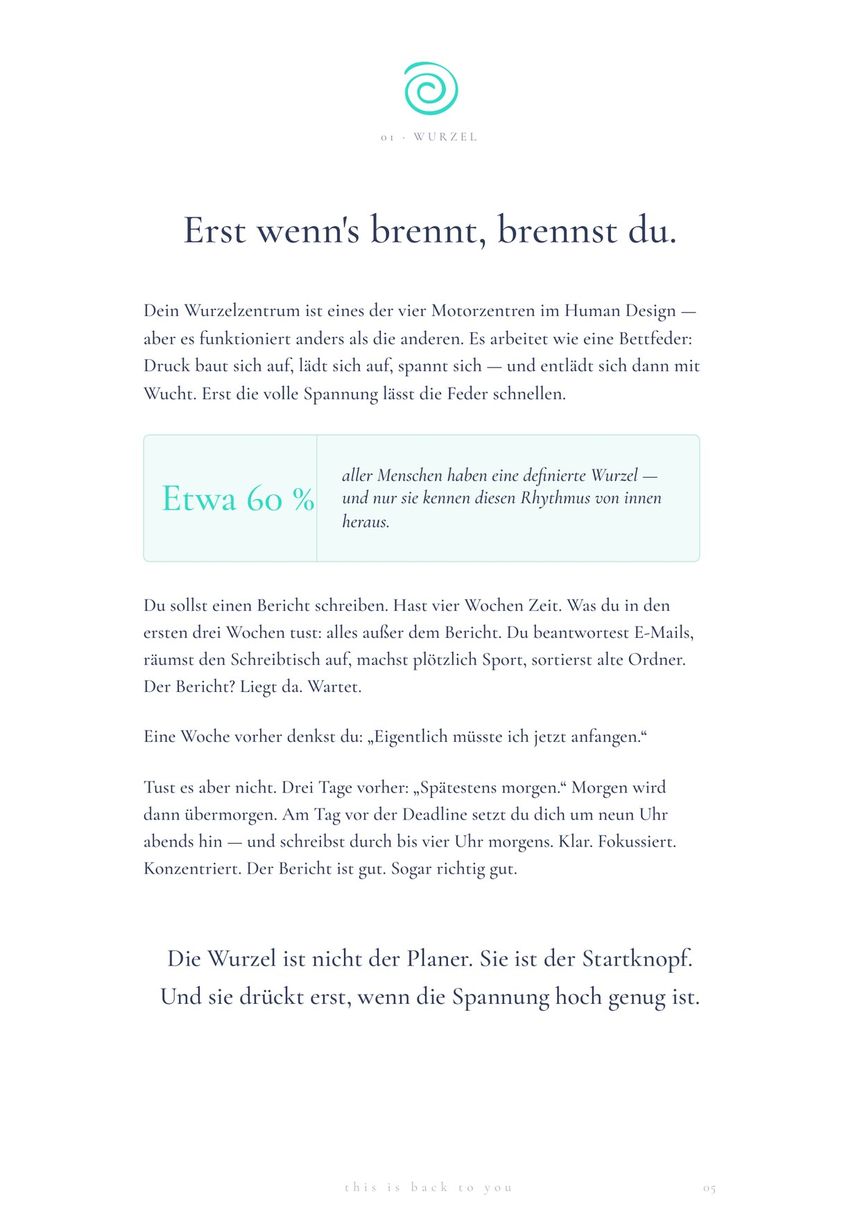 Seite 5 aus dem E-Book: Erst wenn's brennt, brennst du &ndash; &uuml;ber das Wurzelzentrum.